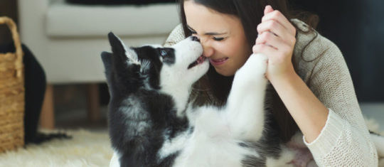 garder ses animaux