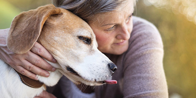 Pension pour chien